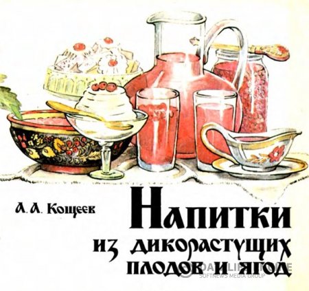 А.А. Кощеев. Напитки из дикорастущих плодов и ягод (1991) PDF