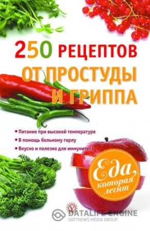 Виктор Ильин. 250 рецептов от простуды и гриппа (2013) RTF,FB2,EPUB,MOBI,DOCX
