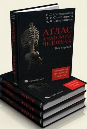 Атлас анатомии человека. 4 тома. 7-е издание