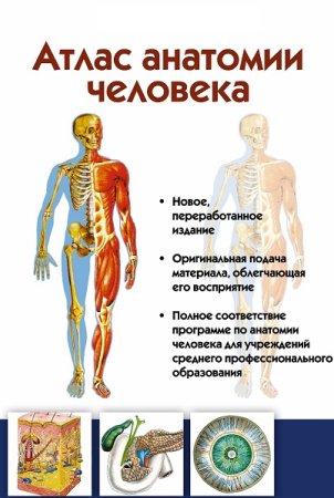 Сборник книг - Атлас анатомии человека