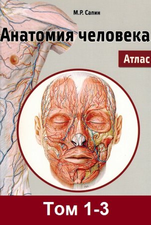 Анатомия человека. Атлас. в 3-х томах
