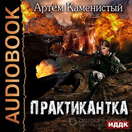 Аудиокнига - Практикантка (2018) Каменистый Артем