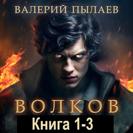 Аудиокнига - Волков. Книга 1-3. Валерий Пылаев (2024)